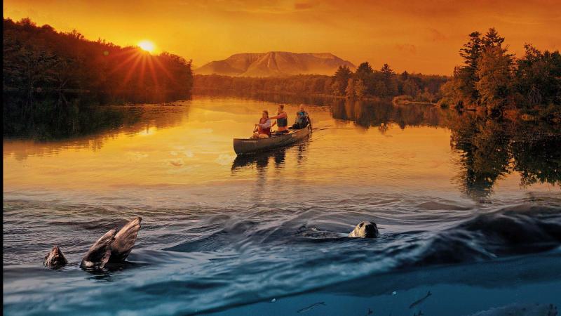 Three people paddeling in a canoe in a river at sunset.