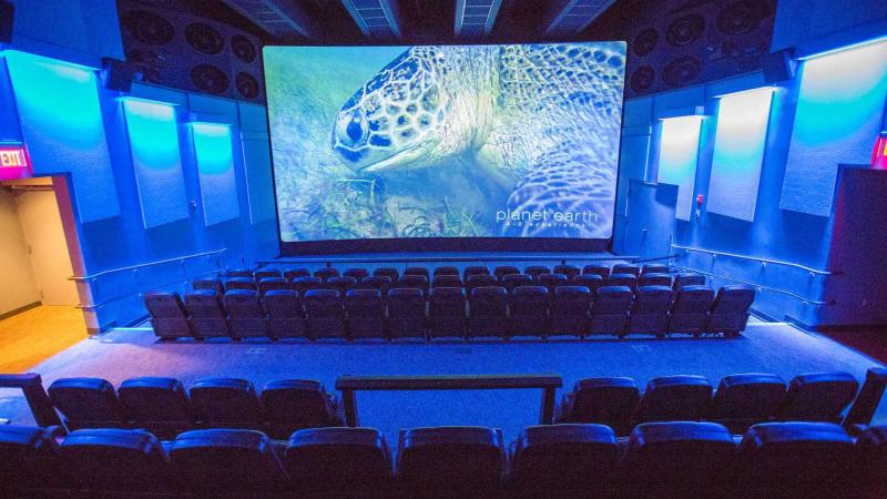 The 4-D Theater, with a sea turtle appearing on the movie screen.