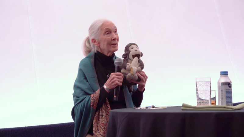 Jane Goodall holding Mr. H, a stuffed animal chimp, while talking with a microphone