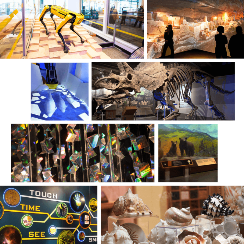 A collage of images from eight different Museum Exhibits.