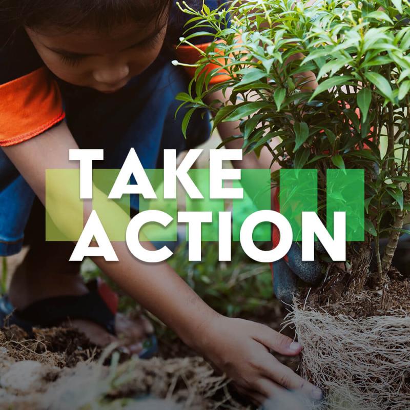 A child planting a tree, with the words "Take Action" in white.