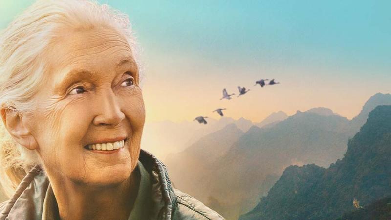 Jane Goodall in front of a background of mountains, with birds flying by.