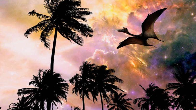 An illustration of ancient palm trees with a terrorsaur flying by.