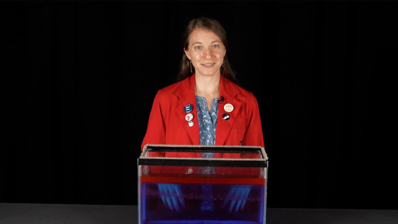 A museum educator with a tank of colored water