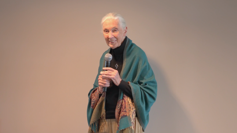 Jane Goodall smiling while holding a microphone