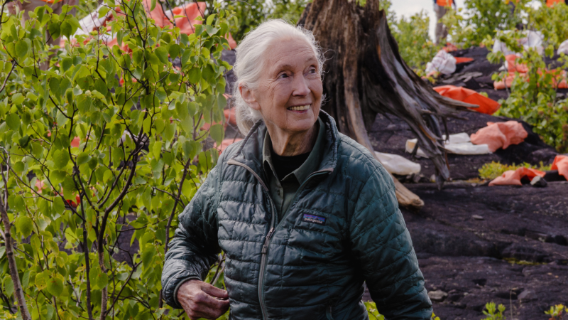 Jane Goodall outside in the woods with a jacket on