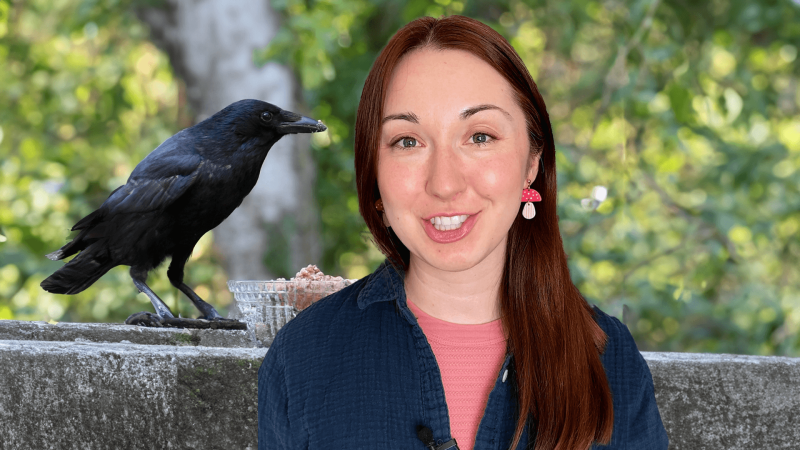 Alex Dainis with a crow behind her.