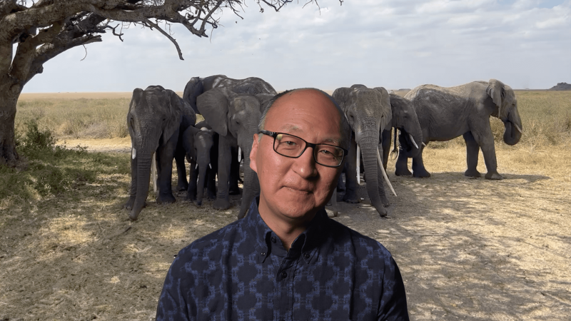 Insoo Hyun smiling in front of a herd of elephants. 