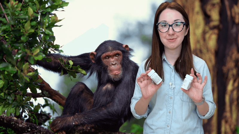 Aex Dainis holding prescription bottles with a chimp behind her