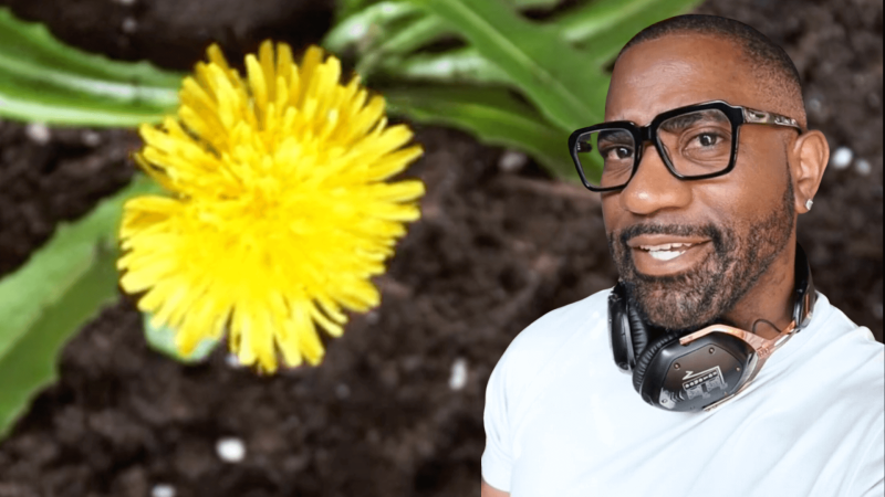 Maynard Okereke smiling next to a dandelion 