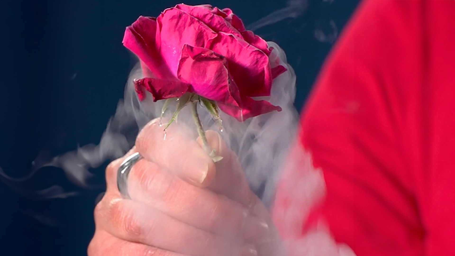 Rose with water vapor around it