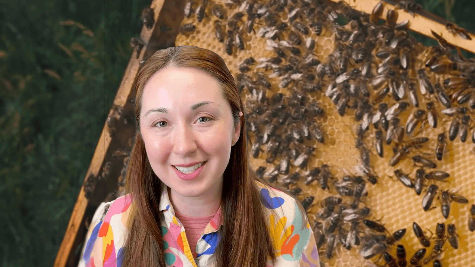 Alex Dainis with a tray of honeybees behind her