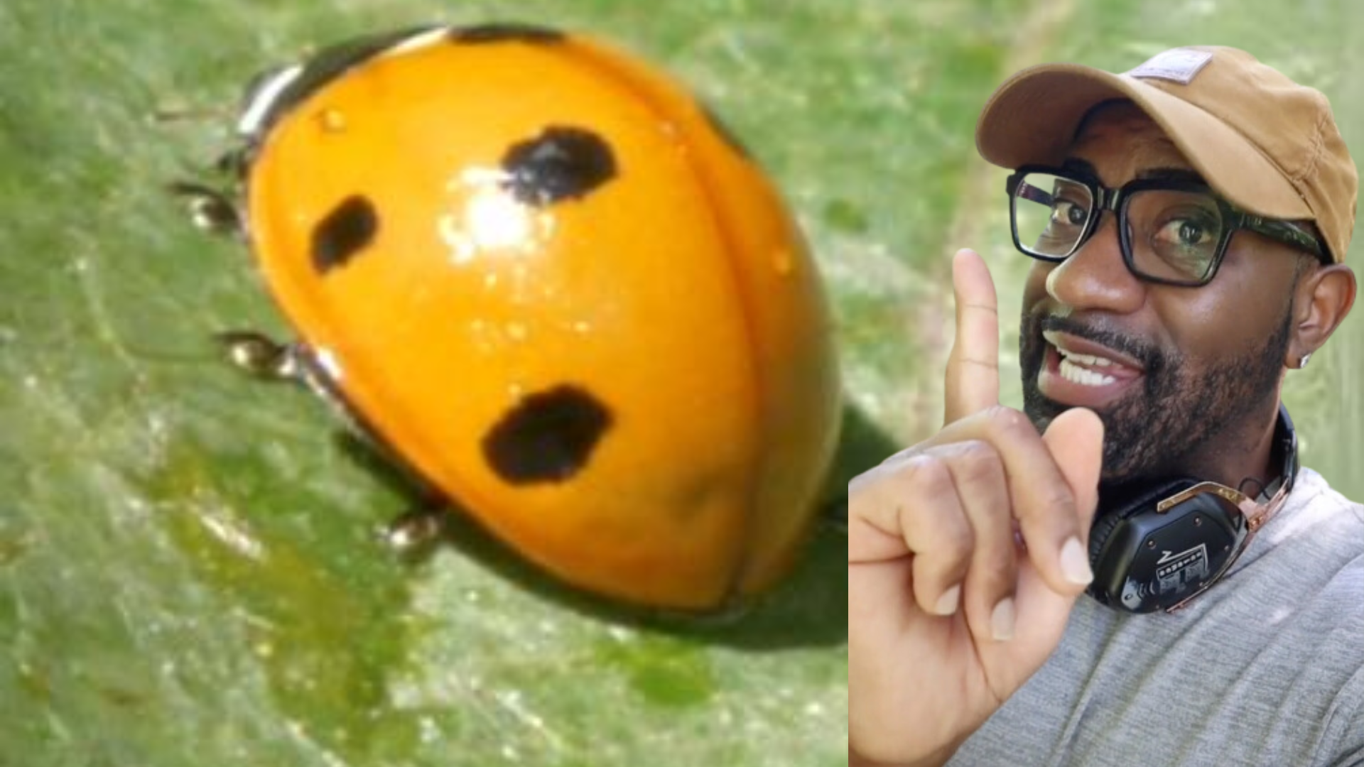 Maynard Okereke smiling and pointing at a lady bug