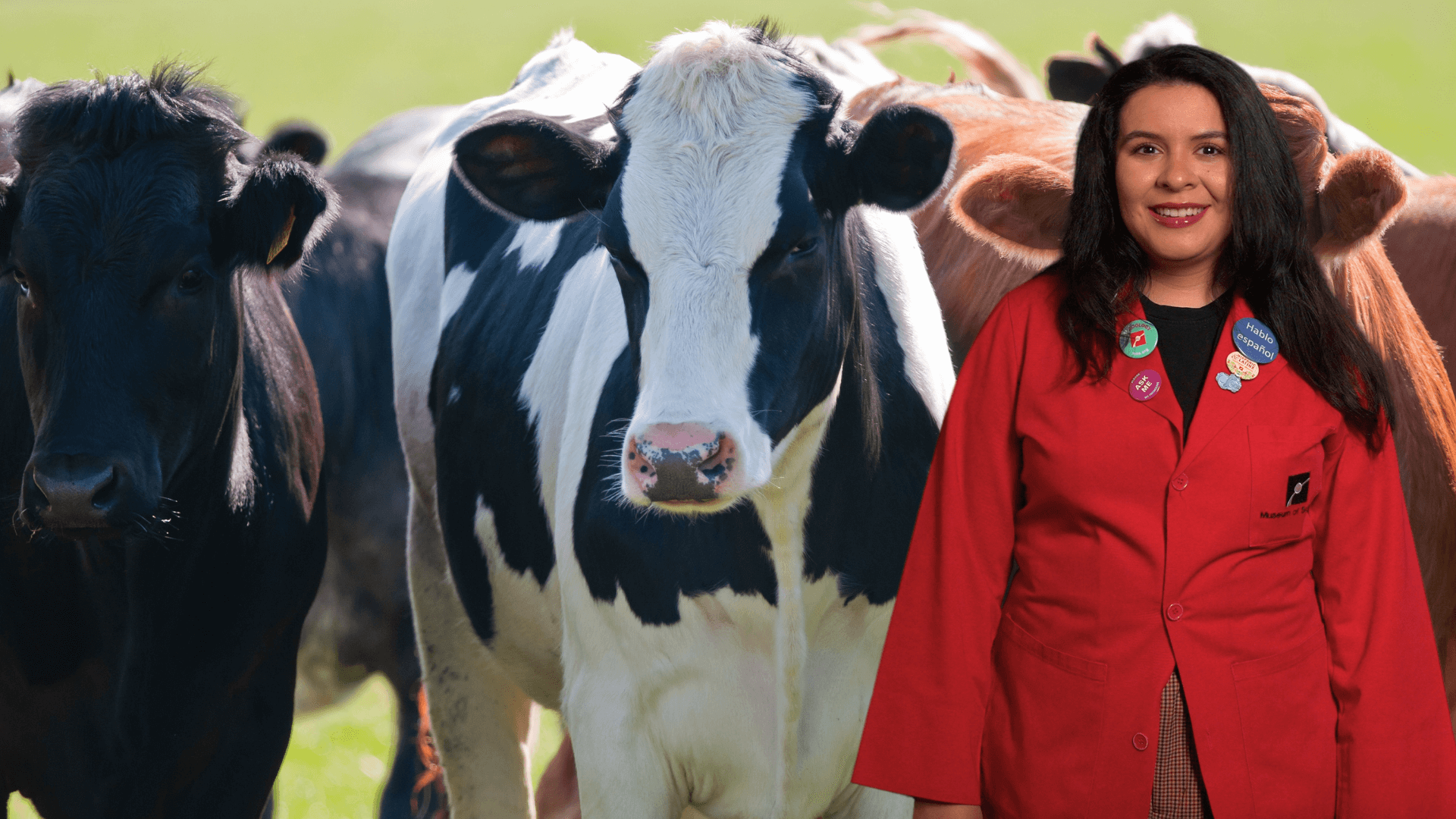 Museum Educator Ana with an image of cows