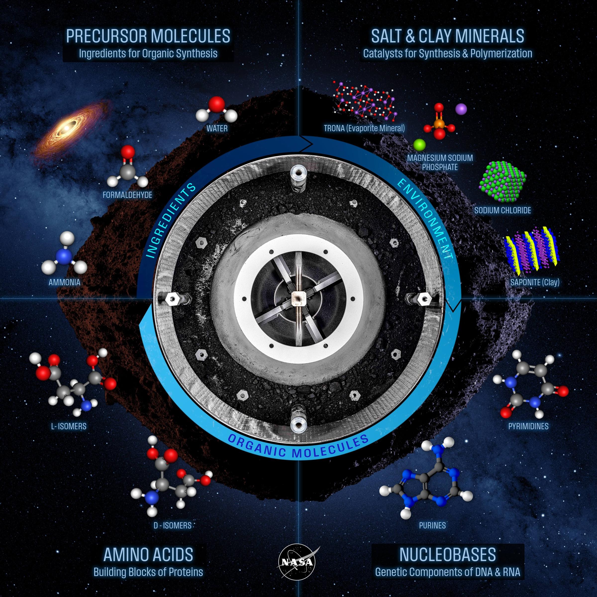 A basic outline the most recent discoveries in the sample from the asteroid Bennu. Credit: NASA