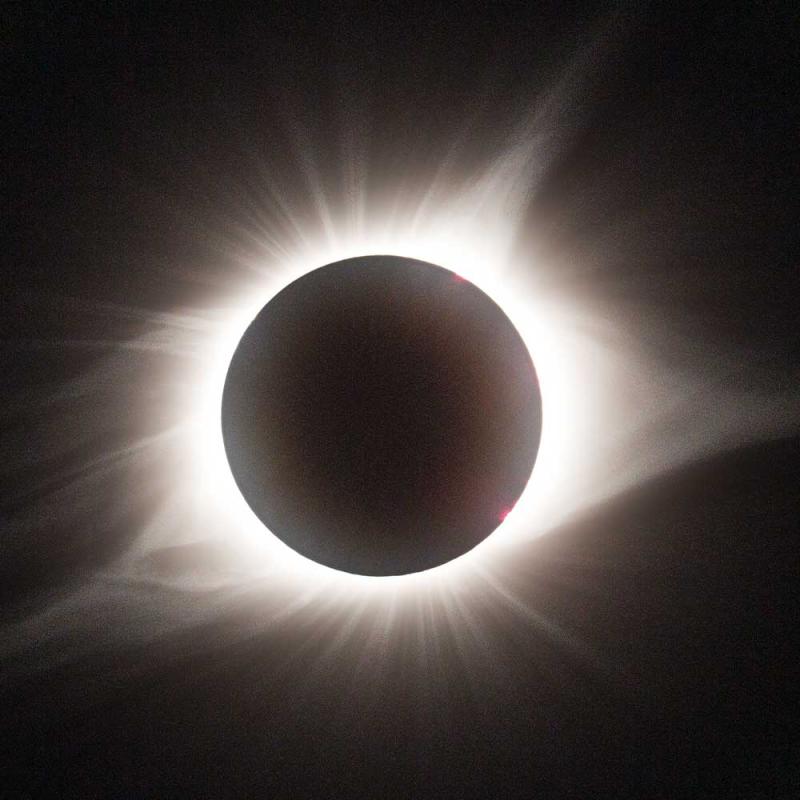 Get Ready for the Eclipse With Citizen Science!
