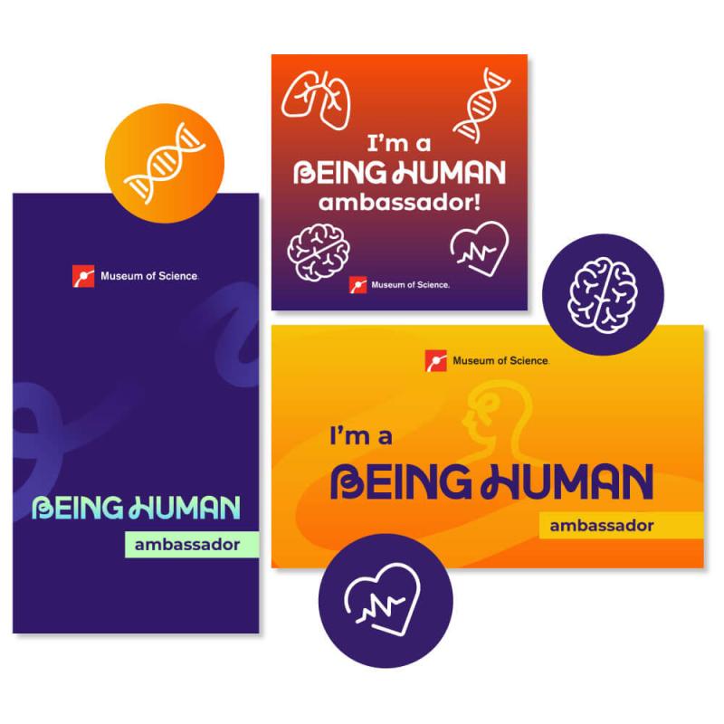 A collection of graphic that can be used to create social posts supporting Being Human.